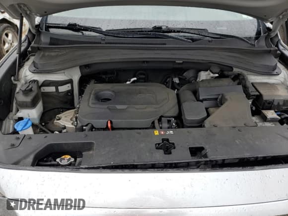 ✅ 2020 Hyundai Santa Fe SEL • VIN: 5NMS3CAD7LH220730 • Lot: 52378543. Wystawiony na Copart z przebiegiem 32 793 mil. Bezpłatny archiwum sprzedaży aukcyjnych z USA i szczegółowy raport historii pojazdu na DreamBid. Zdjęcie 11.