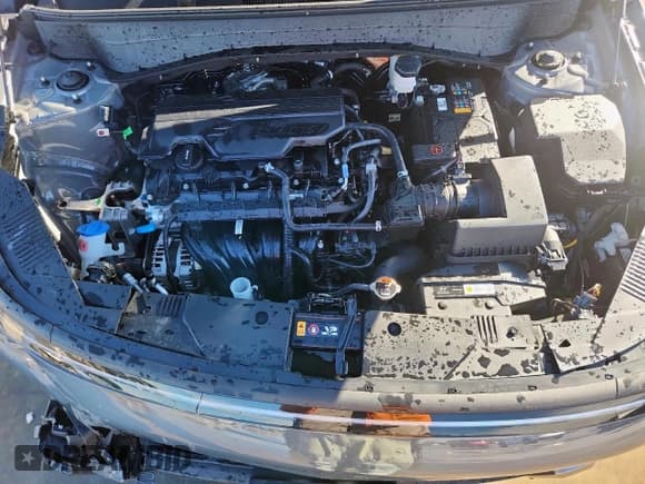 ✅ 2025 Hyundai Kona SEL • VIN: KM8HB3AB9SU312405 • Lot: 90354135. Wystawiony na Copart z przebiegiem 8 373 mil. Bezpłatny archiwum sprzedaży aukcyjnych z USA i szczegółowy raport historii pojazdu na DreamBid. Zdjęcie 12.