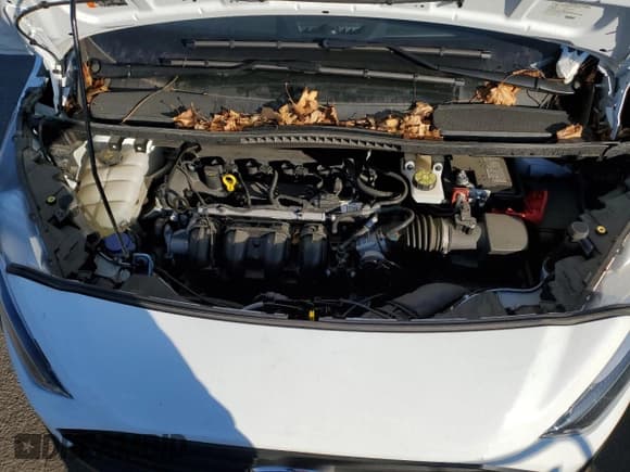 ✅ 2022 Ford Transit Connect XL • VIN: NM0LS7S79N1545297 • Lot: 37280724. Wystawiony na Copart z przebiegiem 8 514 mil. Bezpłatny archiwum sprzedaży aukcyjnych z USA i szczegółowy raport historii pojazdu na DreamBid. Zdjęcie 11.