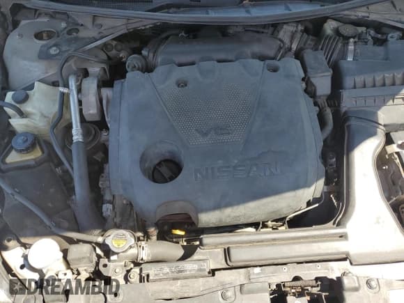 ✅ 2016 Nissan Maxima Platinum • VIN: 1N4AA6APXGC382939 • Lot: 80704575. Wystawiony na Copart z przebiegiem 211 790 mil. Bezpłatny archiwum sprzedaży aukcyjnych z USA i szczegółowy raport historii pojazdu na DreamBid. Zdjęcie 11.