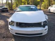 ✅ 2005 Ford Mustang GT Deluxe • VIN: 1ZVFT82HX55123301 • Lot: 43391120. Wystawiony na IAAI z przebiegiem 140 844 mil. Bezpłatny archiwum sprzedaży aukcyjnych z USA i szczegółowy raport historii pojazdu na DreamBid. Zdjęcie 12.