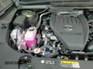 ✅ 2025 Lexus RX 350 • VIN: JTJCHMAA1S2021982 • Лот: 68515415. Опубликован ранее на Copart с пробегом 3 789 миль. Бесплатный доступ к архиву аукционных продаж из США и подробный отчёт об истории автомобиля на DreamBid. Изображение 16.