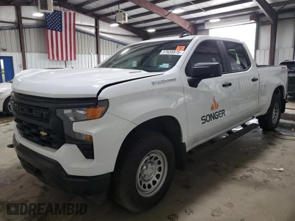 ✅ 2025 Chevrolet Silverado 1500 • VIN: 1GCPKAEK4SZ166108 • Лот: 57635875. Опубликован ранее на Copart с пробегом 2 533 миль. Бесплатный доступ к архиву аукционных продаж из США и подробный отчёт об истории автомобиля на DreamBid. Изображение 1.