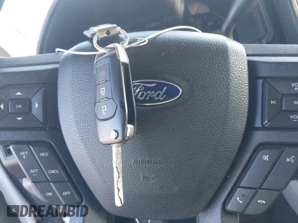 ✅ 2017 Ford F-150 XLT • VIN: 1FTEW1EP8HKD73433 • Lot: 43603395. Wystawiony na IAAI z przebiegiem 70 181 mil. Bezpłatny archiwum sprzedaży aukcyjnych z USA i szczegółowy raport historii pojazdu na DreamBid. Zdjęcie 11.