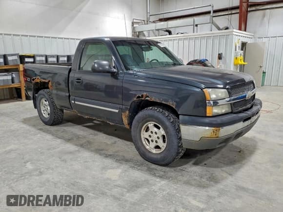 ✅ 2003 Chevrolet Silverado 1500 LS • VIN: 1GCEK14T23Z114205 • Lot: 95152665. Listed on Copart with 164,838 mi. Free auction sales archive from the USA and detailed vehicle history report at DreamBid. Image 4.