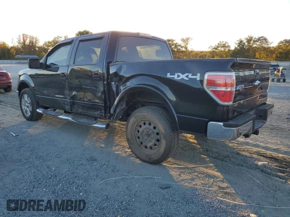 ✅ 2009 Ford F-150 XL • VIN: 1FTPW14V69FB11770 • Lot: 89556885. Wystawiony na Copart z przebiegiem 249 561 mil. Bezpłatny archiwum sprzedaży aukcyjnych z USA i szczegółowy raport historii pojazdu na DreamBid. Zdjęcie 2.