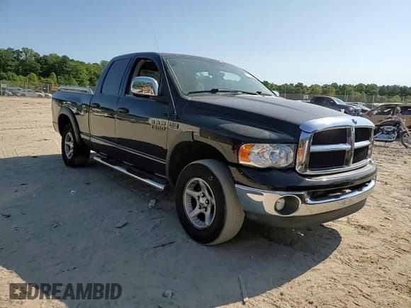 ✅ 2003 Dodge 1500 ST • VIN: 1D7HU18N03S224901 • Лот: 70574804. Опубликован ранее на Copart с пробегом Не указан. Бесплатный доступ к архиву аукционных продаж из США и подробный отчёт об истории автомобиля на DreamBid. Изображение 11.