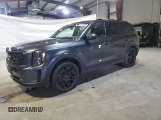 ✅ 2022 Kia Telluride SX • VIN: 5XYP5DHC8NG302563 • Lot: 92169985. Wystawiony na Copart z przebiegiem 79 996 mil. Bezpłatny archiwum sprzedaży aukcyjnych z USA i szczegółowy raport historii pojazdu na DreamBid. Zdjęcie 1.