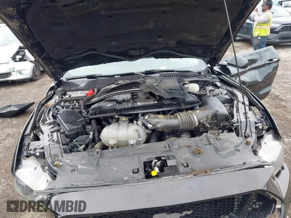 ✅ 2021 Ford Mustang GT • VIN: 1FA6P8CF7M5113656 • Lot: 43024931. Listed on IAAI with 16,200 mi. Free auction sales archive from the USA and detailed vehicle history report at DreamBid. Image 10.