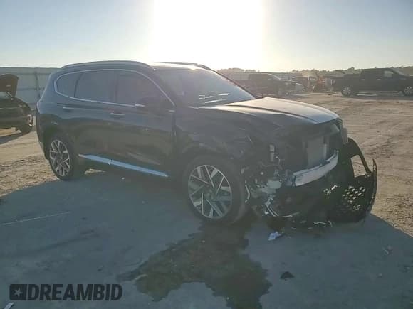 ✅ 2023 Hyundai Santa Fe Calligraphy • VIN: 5NMS54AL5PH637261 • Lot: 92569065. Listed on Copart with 28,252 mi. Free auction sales archive from the USA and detailed vehicle history report at DreamBid. Image 14.