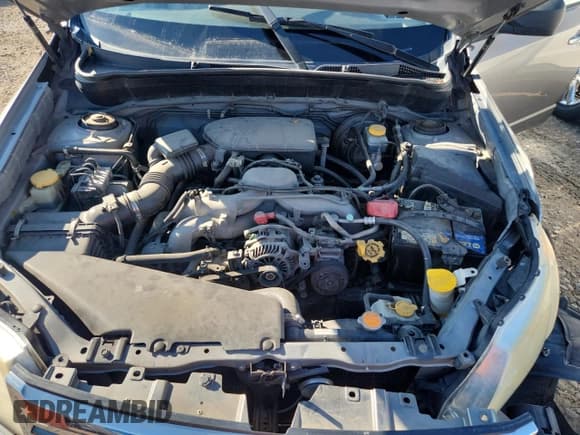 ✅ 2009 Subaru Forester X • VIN: JF2SH63629H781561 • Lot: 87196635. Listed on Copart with 203,456 mi. Free auction sales archive from the USA and detailed vehicle history report at DreamBid. Image 11.