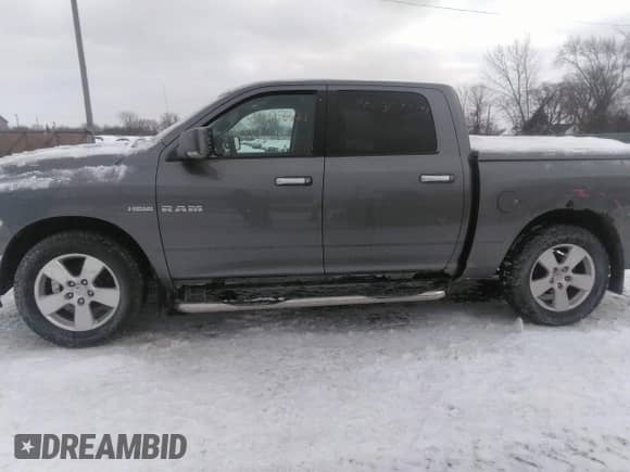 2010 Dodge 1500 Sport z VIN 1D7RV1CT2AS104134, wystawiony jako IAAI lot #41628600 z przebiegiem 110 921 mil mil oraz . Historia ofert i sprzedaży dostępna na DreamBid. Obrazek 14.