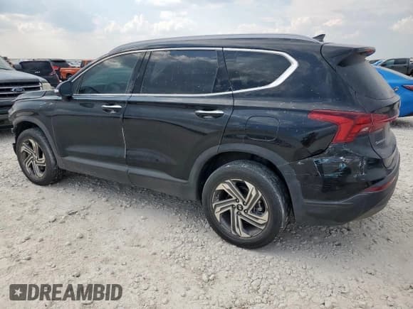 ✅ 2023 Hyundai Santa Fe SEL • VIN: 5NMS2DAJ1PH491870 • Lot: 80481795. Wystawiony na Copart z przebiegiem 30 400 mil. Bezpłatny archiwum sprzedaży aukcyjnych z USA i szczegółowy raport historii pojazdu na DreamBid. Zdjęcie 2.