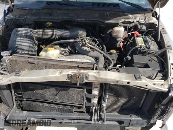 2002 Dodge 1500 with VIN 1D7HA18Z12J258099, listed as a Copart auction lot 72187704 with 355,763 mi miles and Salvage title. Bid and sale history available at DreamBid. Image 12.