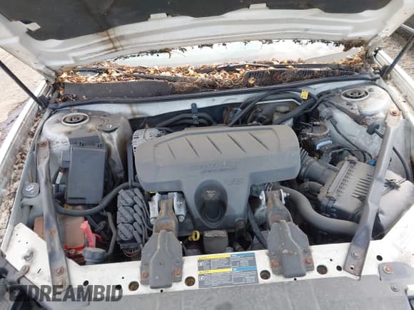 ✅ 2007 Buick LaCrosse CX • VIN: 2G4WC582971145181 • Lot: 42533595. Listed on IAAI with 450,027 mi. Free auction sales archive from the USA and detailed vehicle history report at DreamBid. Image 10.