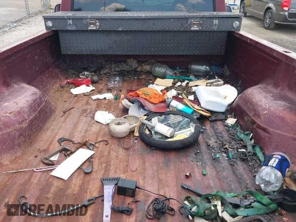 ✅ 1996 Ford F-150 • VIN: 1FTEF15Y7TLA59719 • Lot: 42862235. Wystawiony na IAAI z przebiegiem 138 266 mil. Bezpłatny archiwum sprzedaży aukcyjnych z USA i szczegółowy raport historii pojazdu na DreamBid. Zdjęcie 8.