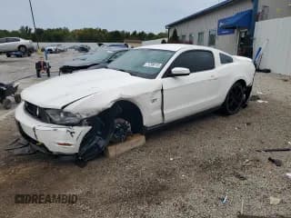 ✅ 2010 Ford Mustang GT • VIN: 1ZVBP8CH7A5115569 • Lot: 71799115. Listed on Copart with 154,969 mi. Free auction sales archive from the USA and detailed vehicle history report at DreamBid. Image 1.