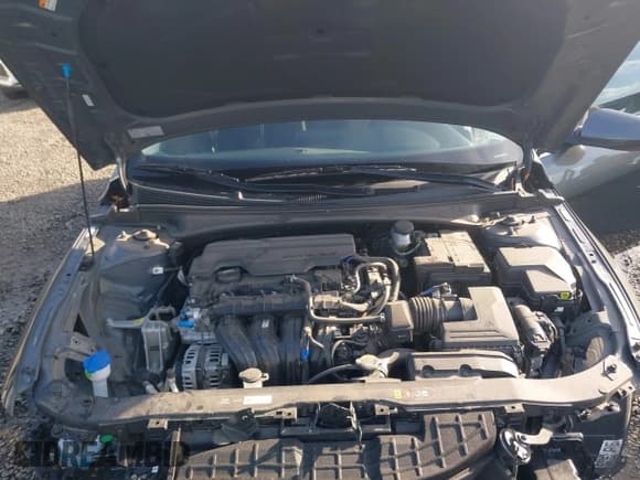 ✅ 2025 Hyundai Elantra SEL Convenience • VIN: KMHLS4DG6SU873023 • Lot: 43646971. Listed on IAAI with 23,169 mi. Free auction sales archive from the USA and detailed vehicle history report at DreamBid. Image 10.