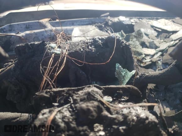 ✅ 2019 GMC Sierra 1500 • VIN: 1GD31TCG3KF107432 • Lot: 74061404. Wystawiony na Copart z przebiegiem Nie podano. Bezpłatny archiwum sprzedaży aukcyjnych z USA i szczegółowy raport historii pojazdu na DreamBid. Zdjęcie 9.