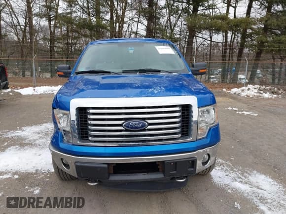 ✅ 2012 Ford F-150 XL • VIN: 1FTFX1ET6CFC52318 • Lot: 43884084. Listed on IAAI with 137,163 mi. Free auction sales archive from the USA and detailed vehicle history report at DreamBid. Image 13.