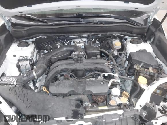 ✅ 2017 Subaru Forester Premium • VIN: JF2SJAEC0HH413162 • Lot: 43700539. Listed on IAAI with 93,098 mi. Free auction sales archive from the USA and detailed vehicle history report at DreamBid. Image 10.