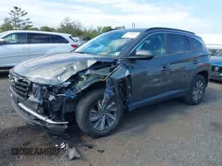 2022 Hyundai Tucson Blue with VIN KM8JBCA19NU020489, listed as a IAAI auction lot 43134009 with 45,333 mi miles and . Bid and sale history available at DreamBid. Image 2.