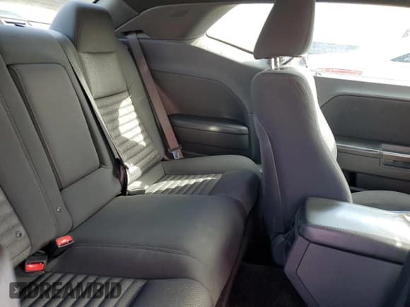 ✅ 2013 Dodge Challenger SXT • VIN: 2C3CDYAG4DH674914 • Lot: 60047544. Wystawiony na Copart z przebiegiem 79 978 mil. Bezpłatny archiwum sprzedaży aukcyjnych z USA i szczegółowy raport historii pojazdu na DreamBid. Zdjęcie 10.