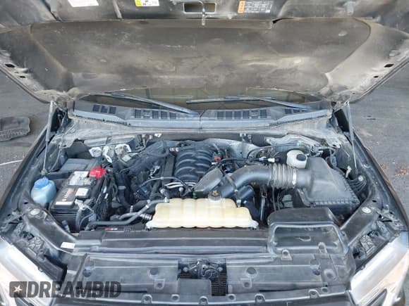 ✅ 2019 Ford F-150 XL • VIN: 1FTEW1E57KKC38336 • Lot: 43064571. Listed on IAAI with 107,429 mi. Free auction sales archive from the USA and detailed vehicle history report at DreamBid. Image 10.