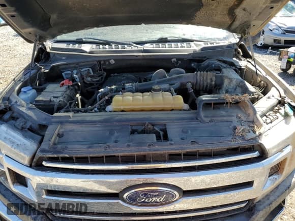 ✅ 2020 Ford F-150 XL • VIN: 1FTEW1EB4LFC29710 • Lot: 52036025. Listed on Copart with Not provided. Free auction sales archive from the USA and detailed vehicle history report at DreamBid. Image 13.