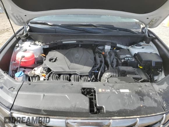 ✅ 2023 Hyundai Tucson Preferred • VIN: KM8JCCAE0PU195880 • Lot: 49147724. Wystawiony na Copart z przebiegiem 35 048 mil. Bezpłatny archiwum sprzedaży aukcyjnych z USA i szczegółowy raport historii pojazdu na DreamBid. Zdjęcie 12.