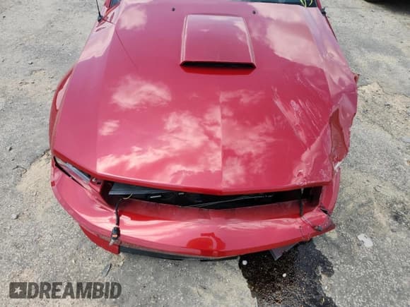 ✅ 2009 Ford Mustang GT • VIN: 1ZVHT85H195117784 • Lot: 64933225. Wystawiony na Copart z przebiegiem 46 449 mil. Bezpłatny archiwum sprzedaży aukcyjnych z USA i szczegółowy raport historii pojazdu na DreamBid. Zdjęcie 11.