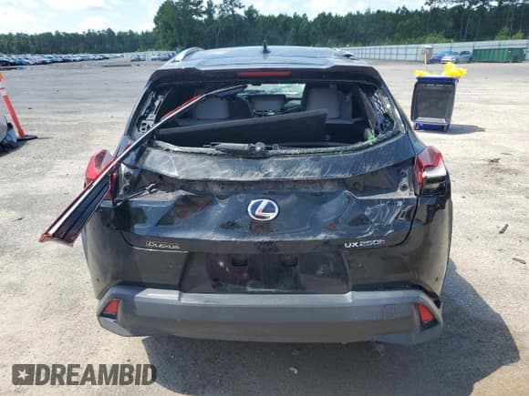 ✅ 2021 Lexus UX 250h • VIN: JTHX9JBH0M2040388 • Lot: 61162665. Wystawiony na Copart z przebiegiem 82 523 mil. Bezpłatny archiwum sprzedaży aukcyjnych z USA i szczegółowy raport historii pojazdu na DreamBid. Zdjęcie 6.