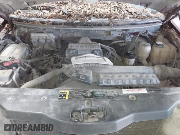 ✅ 2004 Ford F-150 XLT • VIN: 1FTPX14504NB42962 • Lot: 42359035. Listed on IAAI with Not provided. Free auction sales archive from the USA and detailed vehicle history report at DreamBid. Image 10.