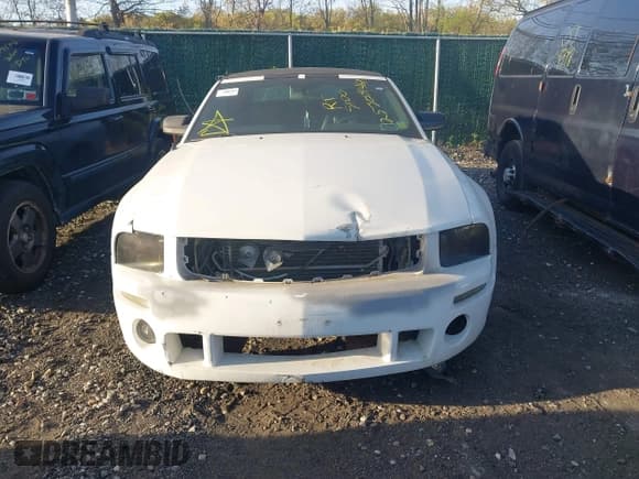 ✅ 2006 Ford Mustang Standard • VIN: 1ZVFT84N265189815 • Lot: 42171184. Listed on IAAI with Not provided. Free auction sales archive from the USA and detailed vehicle history report at DreamBid. Image 6.