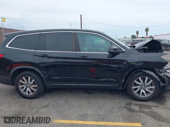 ✅ 2019 Honda Pilot EX-L • VIN: 5FNYF5H55KB037497 • Lot: 43255693. Listed on IAAI with 61,314 mi. Free auction sales archive from the USA and detailed vehicle history report at DreamBid. Image 13.