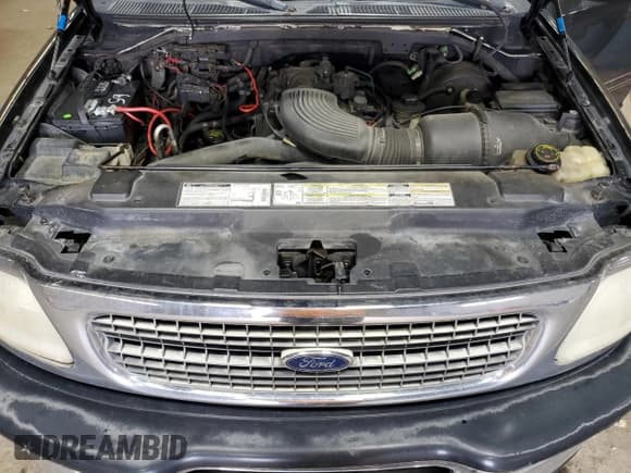 ✅ 1998 Ford Expedition XLT • VIN: 1FMRU18W5WLA57484 • Lot: 85924544. Listed on Copart with 271,745 mi. Free auction sales archive from the USA and detailed vehicle history report at DreamBid. Image 12.