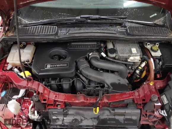 ✅ 2014 Ford C-Max SE • VIN: 1FADP5AU6EL509209 • Лот: 42425524. Опубликован ранее на IAAI с пробегом 122 728 миль. Бесплатный доступ к архиву аукционных продаж из США и подробный отчёт об истории автомобиля на DreamBid. Изображение 10.