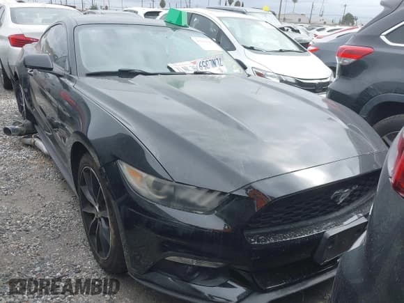 ✅ 2015 Ford Mustang EcoBoost • VIN: 1FA6P8TH1F5396334 • Lot: 43156028. Listed on IAAI with 66,266 mi. Free auction sales archive from the USA and detailed vehicle history report at DreamBid. Image 1.