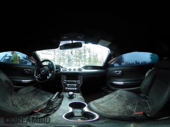 ✅ 2015 Ford Mustang GT Premium • VIN: 1FA6P8CF2F5326713 • Lot: 43554587. Listed on IAAI with 38,460 mi. Free auction sales archive from the USA and detailed vehicle history report at DreamBid. Image 19.