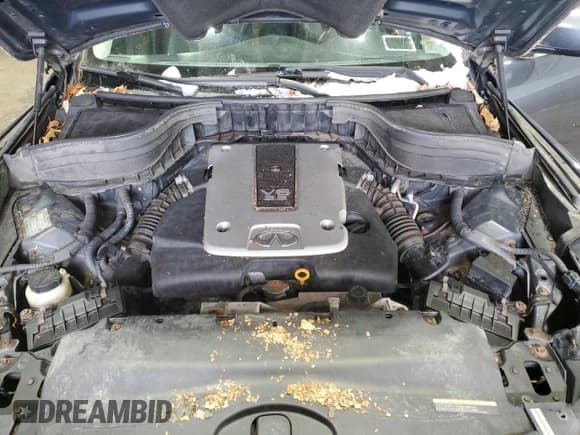 ✅ 2009 Infiniti EX Journey • VIN: JNKAJ09F99M951746 • Lot: 83046744. Listed on Copart with 121,685 mi. Free auction sales archive from the USA and detailed vehicle history report at DreamBid. Image 12.