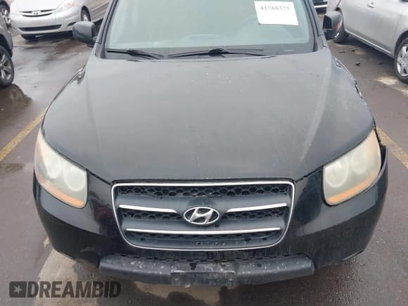 ✅ 2009 Hyundai Santa Fe SE • VIN: 5NMSH13E09H257400 • Lot: 41788575. Listed on IAAI with 136,812 mi. Free auction sales archive from the USA and detailed vehicle history report at DreamBid. Image 12.