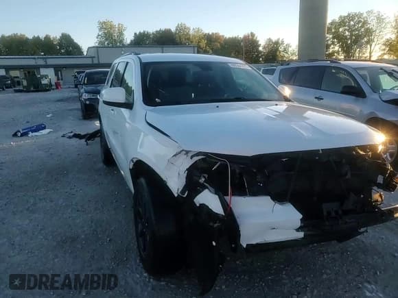 ✅ 2018 Dodge Durango SXT • VIN: 1C4RDJAG6JC198435 • Лот: 86594855. Опубликован ранее на Copart с пробегом 165 847 миль. Бесплатный доступ к архиву аукционных продаж из США и подробный отчёт об истории автомобиля на DreamBid. Изображение 15.