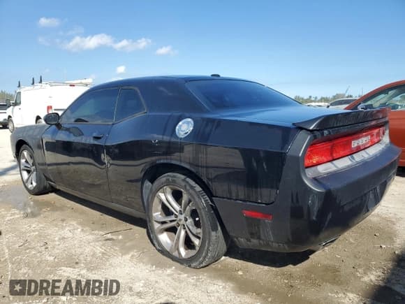 ✅ 2013 Dodge Challenger SXT • VIN: 2C3CDYAG4DH500423 • Lot: 44916035. Wystawiony na Copart z przebiegiem 132 345 mil. Bezpłatny archiwum sprzedaży aukcyjnych z USA i szczegółowy raport historii pojazdu na DreamBid. Zdjęcie 2.