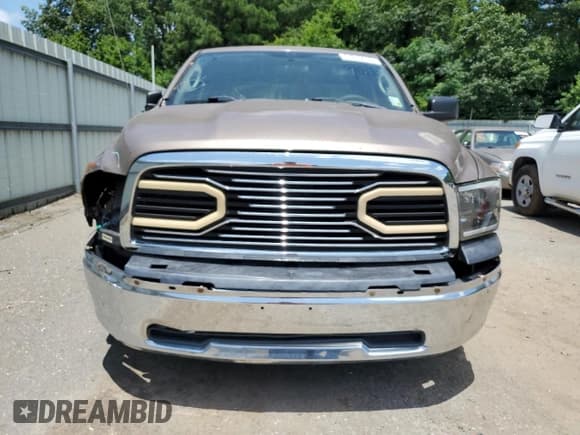 ✅ 2009 Dodge 1500 SLT • VIN: 1D3HB18PX9S759851 • Lot: 61210015. Wystawiony na Copart z przebiegiem 123 279 mil. Bezpłatny archiwum sprzedaży aukcyjnych z USA i szczegółowy raport historii pojazdu na DreamBid. Zdjęcie 5.
