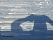 ✅ 1995 Ford F-250 • VIN: 2FTHF25H8SCA12128 • Lot: 41806359. Listed on IAAI with 90,950 mi. Free auction sales archive from the USA and detailed vehicle history report at DreamBid. Image 8.