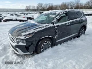 ✅ 2023 Hyundai Santa Fe Limited • VIN: 5NMS5DA15PH023633 • Lot: 45533385. Wystawiony na Copart z przebiegiem 24 733 mil. Bezpłatny archiwum sprzedaży aukcyjnych z USA i szczegółowy raport historii pojazdu na DreamBid. Zdjęcie 1.