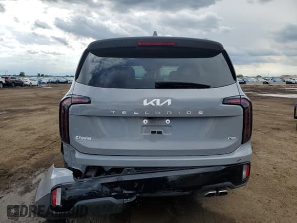 ✅ 2024 Kia Telluride SX • VIN: 5XYP5DGC5RG562748 • Lot: 54954245. Wystawiony na Copart z przebiegiem 6 977 mil. Bezpłatny archiwum sprzedaży aukcyjnych z USA i szczegółowy raport historii pojazdu na DreamBid. Zdjęcie 6.