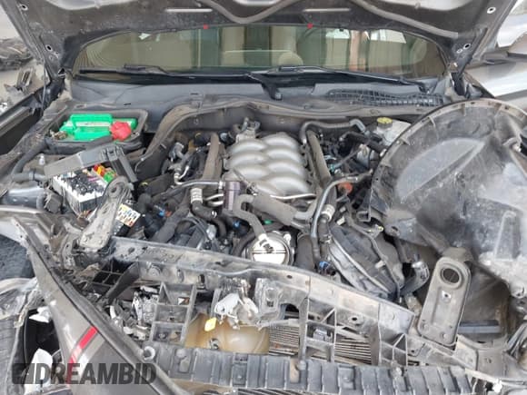 ✅ 2019 Ford Mustang GT • VIN: 1FA6P8CF5K5196372 • Lot: 43047774. Listed on IAAI with Not provided. Free auction sales archive from the USA and detailed vehicle history report at DreamBid. Image 10.