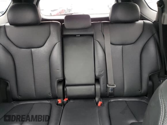 ✅ 2020 Hyundai Santa Fe Limited • VIN: 5NMS5CAA7LH298263 • Lot: 41189334. Wystawiony na Copart z przebiegiem 47 357 mil. Bezpłatny archiwum sprzedaży aukcyjnych z USA i szczegółowy raport historii pojazdu na DreamBid. Zdjęcie 10.