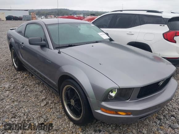 ✅ 2007 Ford Mustang Deluxe • VIN: 1ZVHT80N875216497 • Лот: 43532986. Опубликован ранее на IAAI с пробегом 206 216 миль. Бесплатный доступ к архиву аукционных продаж из США и подробный отчёт об истории автомобиля на DreamBid. Изображение 1.